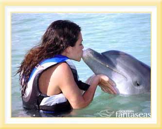 dolphin-fantaseas.jpg