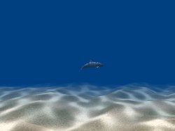 dolphin3d.jpg